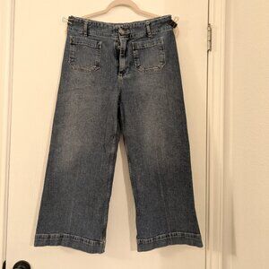 Anthropologie Pilcro Cropped Wide-leg Denim 29P